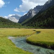 Biological Novelty as Source of Biodiversity in Mountains