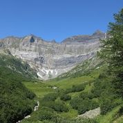 Biological Novelty as Source of Biodiversity in Mountains