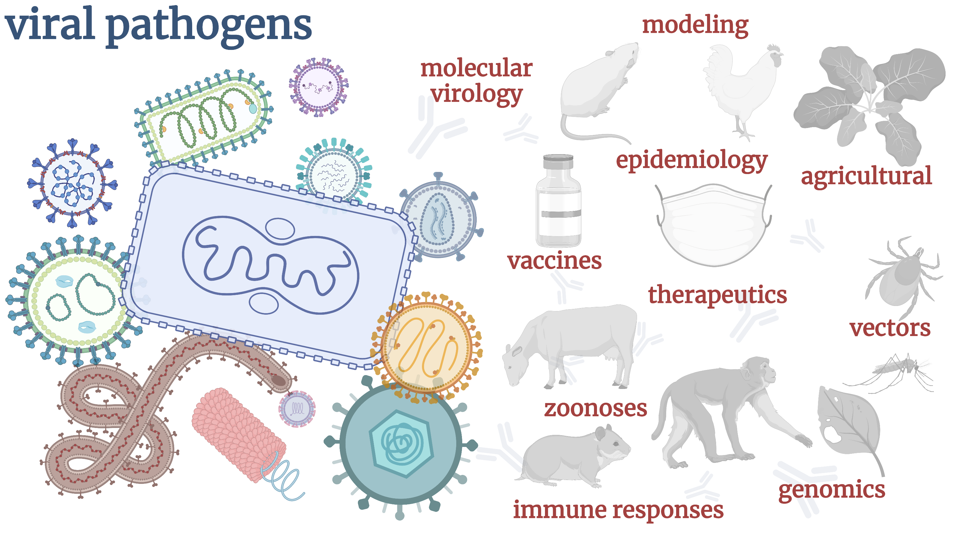 Viral Pathogens - A section of Pathogens