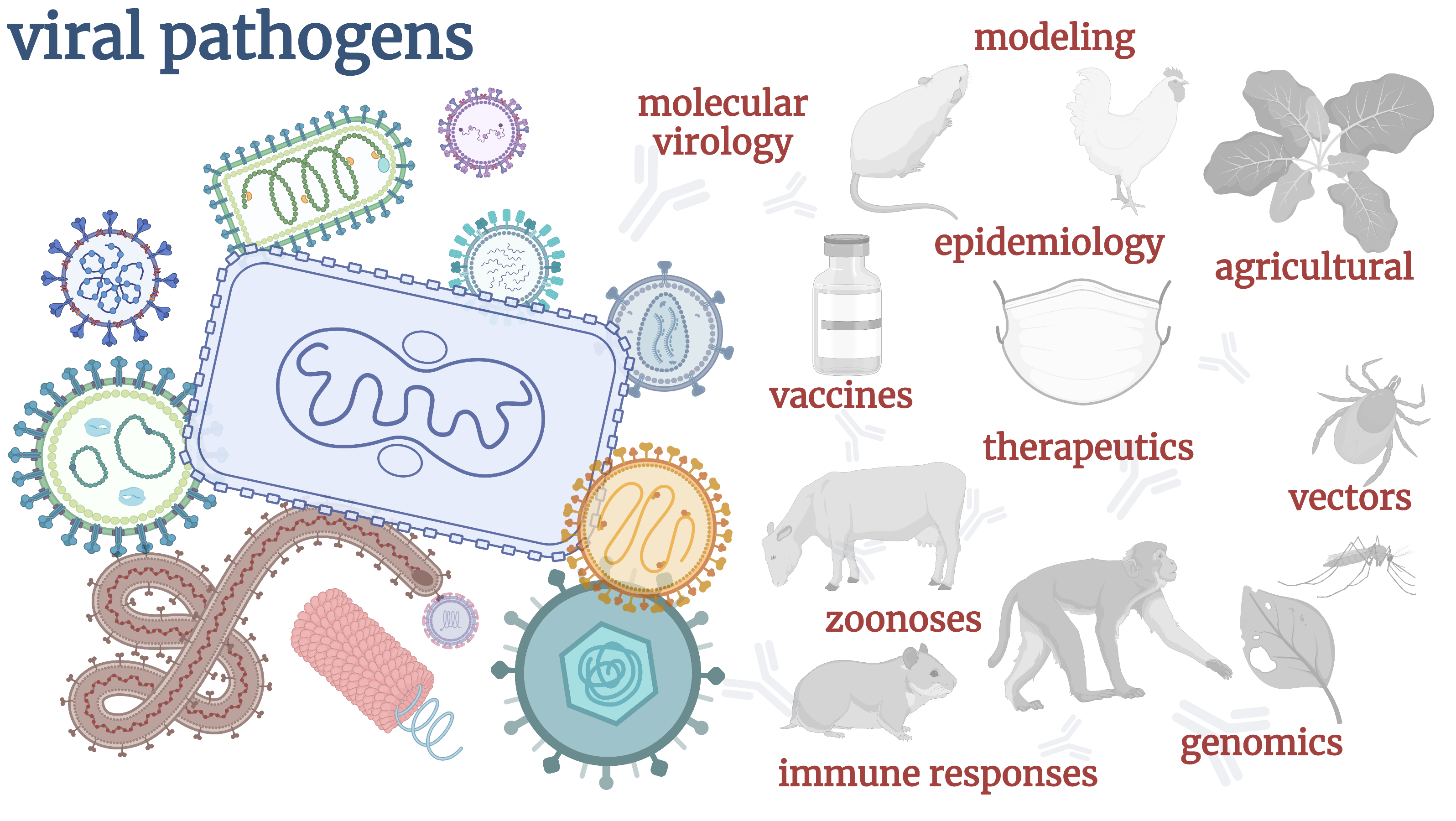 Viral Pathogens A Section Of Pathogens