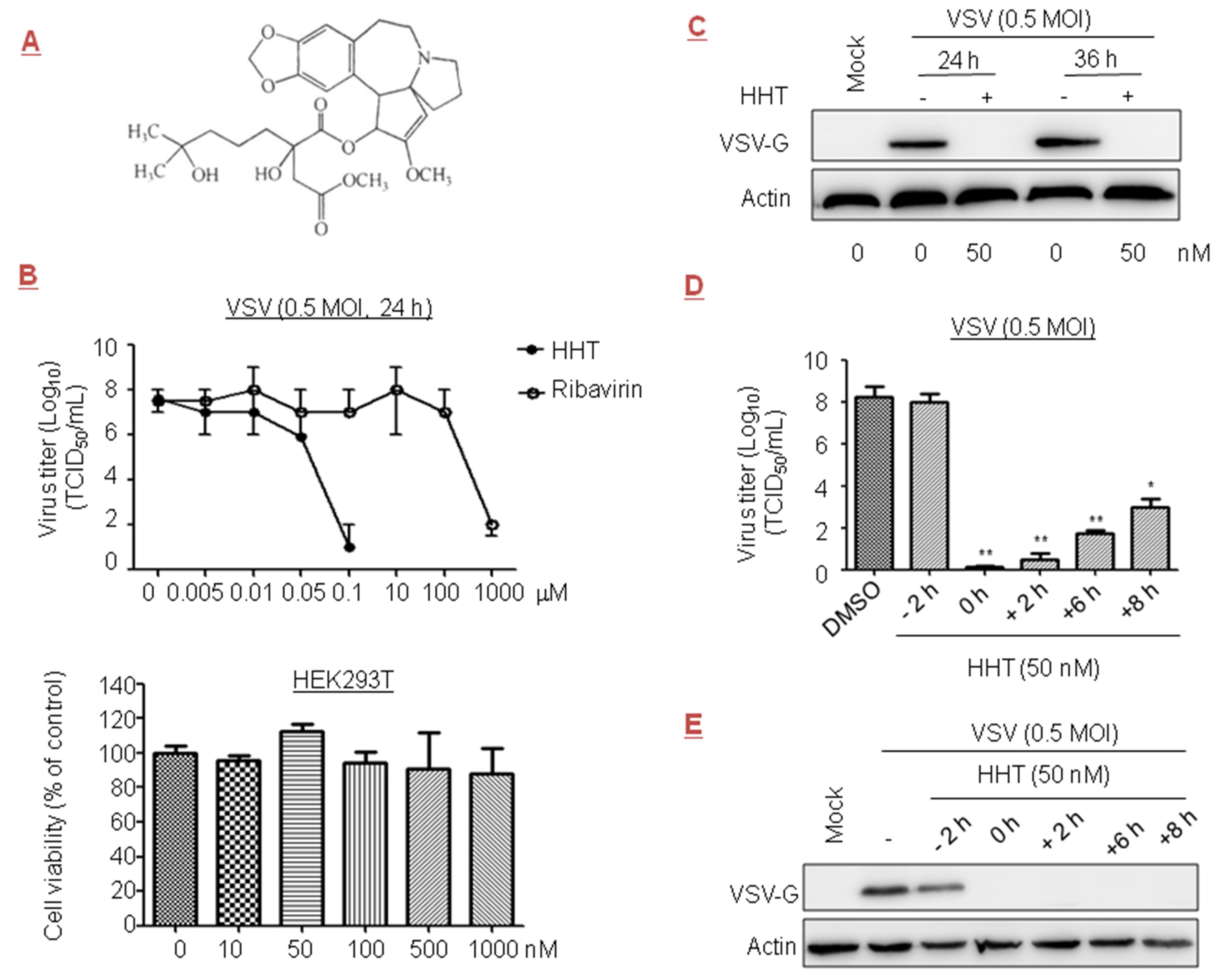 In vitro virus - MRNA display - JapaneseClass.jp